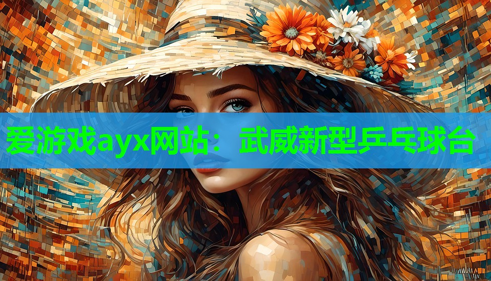 爱游戏ayx网站：武威新型乒乓球台