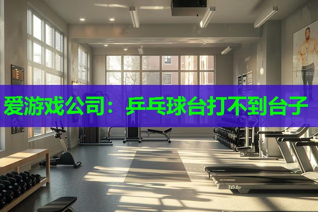 爱游戏公司：乒乓球台打不到台子