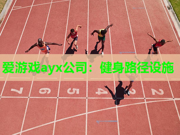 爱游戏ayx公司：健身路径设施