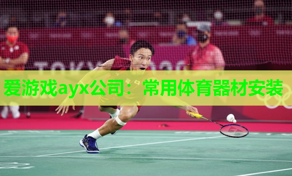 爱游戏ayx公司：常用体育器材安装