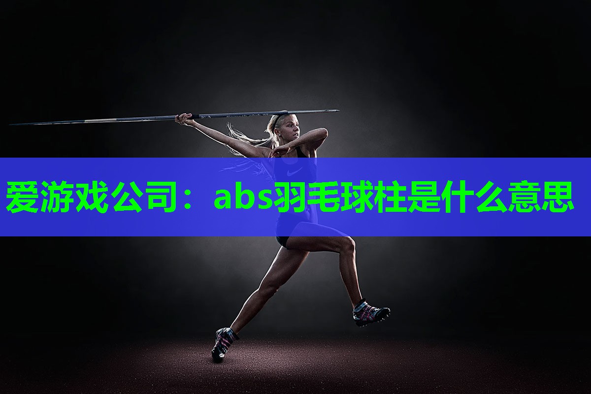 abs羽毛球柱是什么意思