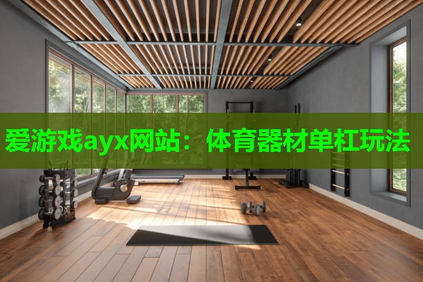 体育器材单杠玩法