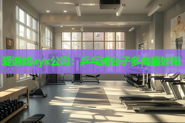 乒乓球台子多高最好用