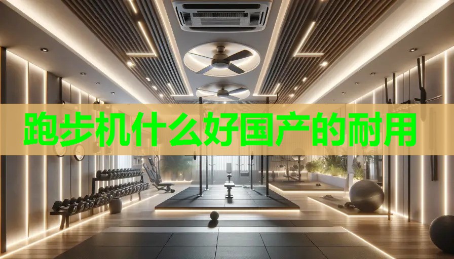 跑步机什么好国产的耐用